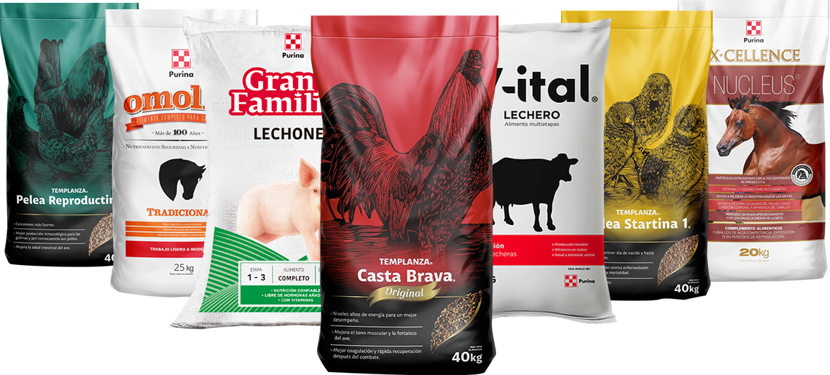 banner header provetson